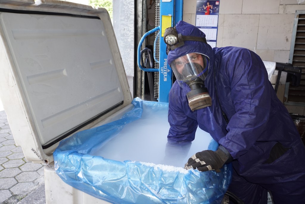 Bastidor del Toyota con primera capa de pintura aplicada